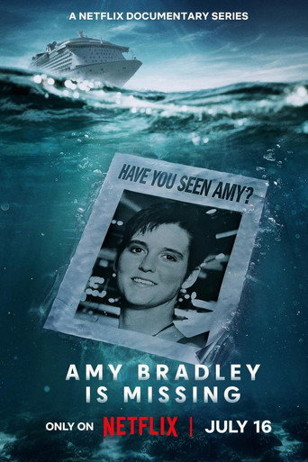 Amy Bradley Is Missing (2025) Hindi Season 1 Complete