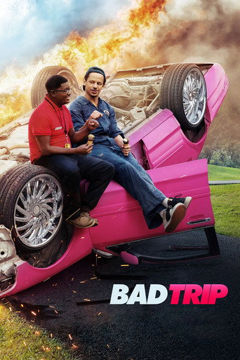 Bad Trip (2021) Hindi Dubbed
