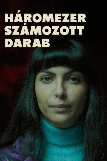 Haromezer Szamozott Darab (2023) Unofficial Hindi Dubbed